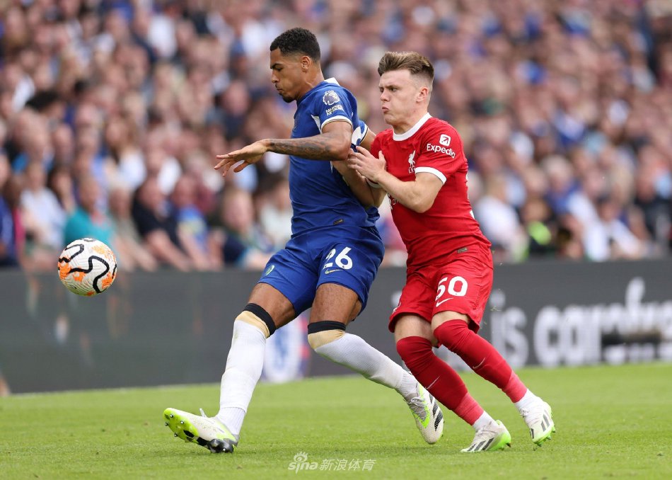 在理论上 在理论上